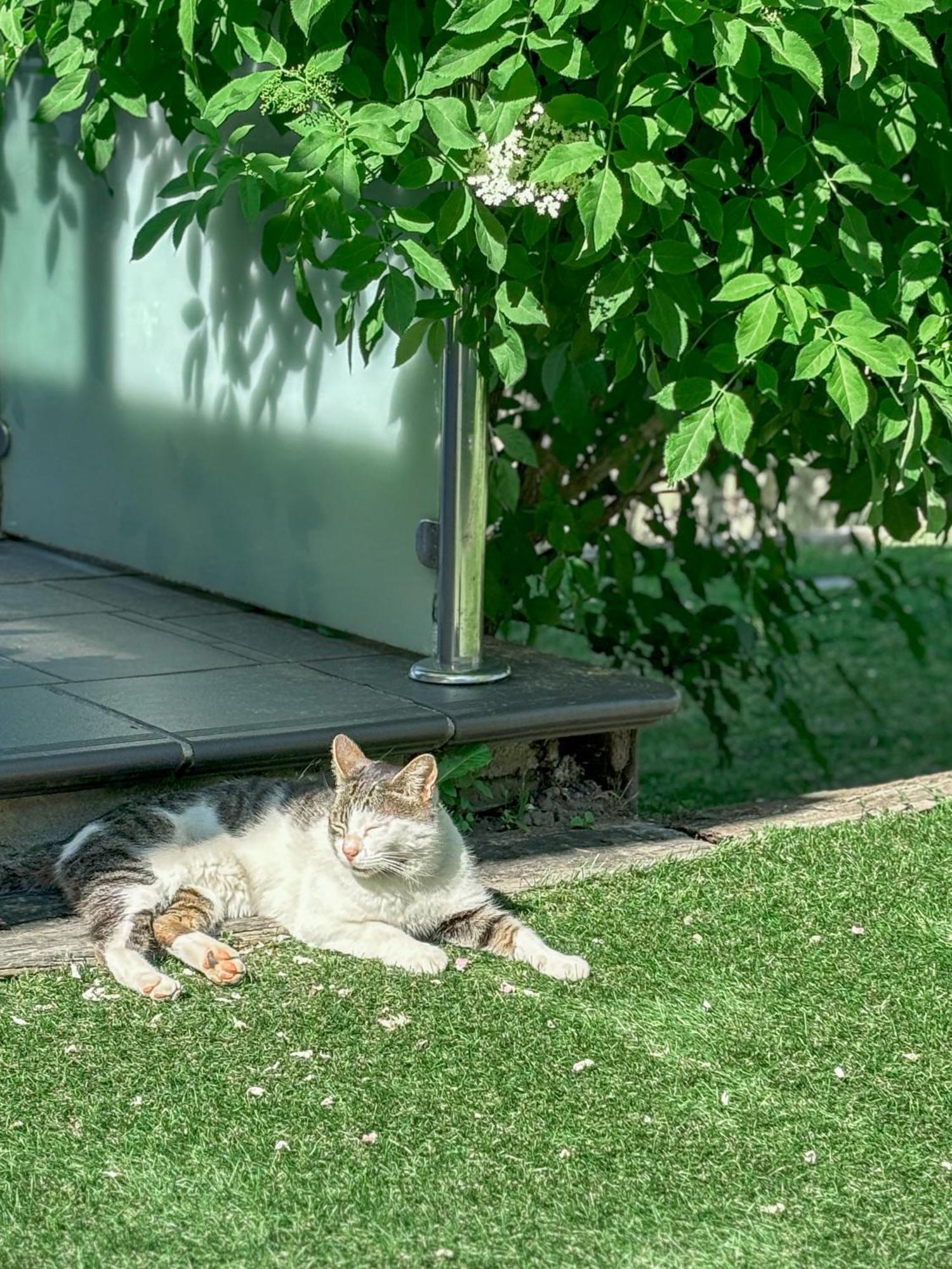 Villa Suances Tagle ภายนอก รูปภาพ